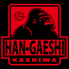 HAN-GAESHIl