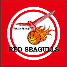 RED-SEAGULLSl